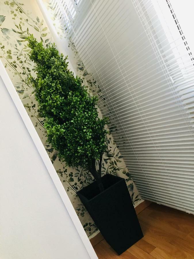 Ferienwohnung Apartamento Good Vibes Saragossa Exterior foto